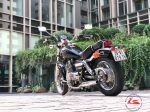 Honda Rebel 250 Japan  29A1-019.16