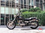 Honda Rebel 250 Japan  29A1-019.16