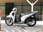 SH 2019 ABS 125cc  29P1-757.73