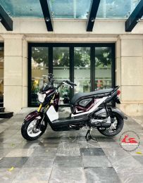 Honda Zoomer X 110cc  29C1-595.00