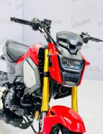 Honda MSX 125cc 2019  29P1-956.72