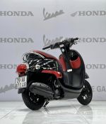Honda Giorno 50cc 2020  29AA-872.48