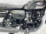 Kawasaki W175 SE 2021  29A1-047.81