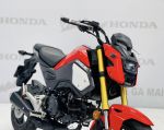 Honda MSX 125 2018  29Z1-547.38