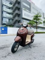 Honda Giorno 50cc 2020 29AA-889.11