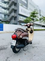 Honda Giorno 50cc 2020 29AA-889.11