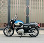 Triumph Bonneville T100 29A1-262.02