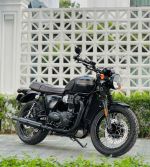 Triumph Bonneville T100 29A1-039.19