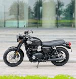 Triumph Bonneville T100 29A1-040.32