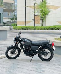 Kawasaki W175 SE 2020 29A1-126.11