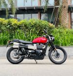 Triumph Street Scambler 900 2020 Đã thu hồi