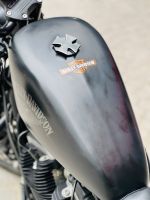 Harley Davidson Iron 883 2018 Thu Hồi Biển