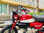 Honda Monkey 125 29E2-580.21