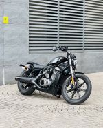 Harley Davidson Nightster 975 2023 15A1-014.94