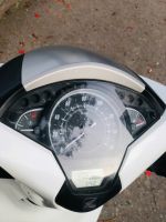 Honda Sh 125 CBS 2019 29B1-965.45