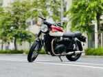 Triumph Bonneville T100 2021 2022 29A1-163.25
