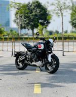 Triumph Trident 660 2024 29A1-223.66 2024 
