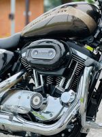 Harley Davidson 1200 Custom 2020 29A1-122.19