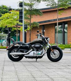 Harley Davidson 1200 Custom 2020 29A1-122.19