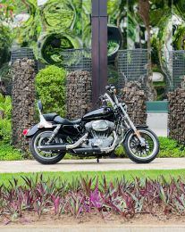 Harley Davidson Superlow 2019 883 29A1-376.44 