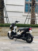 Honda Zoomer 2019 29C1-770.47