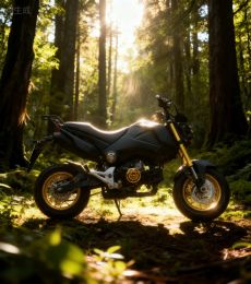 Honda MSX 125 2014 29AC-785.28