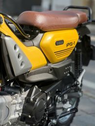 Yamaha PG 113 2024 29BH-164.83