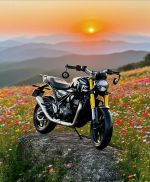 Triumph Speed 400 2025 29A1-394.71 