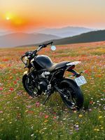 Triumph Speed 400 2025 29A1-394.71 