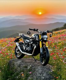 Triumph Speed 400 2025 29A1-394.71 