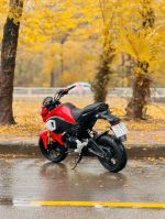 Honda MSX 125 2019 29B1-972.75