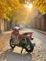 Honda SH Mode 125 2018 29B1-853.61