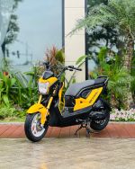 Honda zoomer 50 2020 vàng đen Biển đang thu hồi