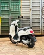 Honda Scoopy 110 2025 xe mới Màu trắng