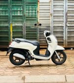 Honda Scoopy 110 2025 xe mới Màu trắng