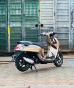 Honda Scoopy 110 2025 Màu Nâu Xe mới
