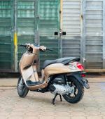 Honda Scoopy 110 2025 Màu Nâu Xe mới