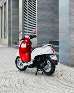 Honda Scoopy 110 2019 29B2-024.00