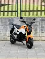 Honda MSX 125 2019 thu hồi biển