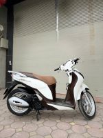 Shmode 125  2019 29B1-965.00