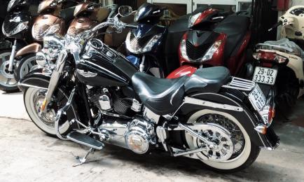 HD Softail Deluxe 29A1-019.22 (06)