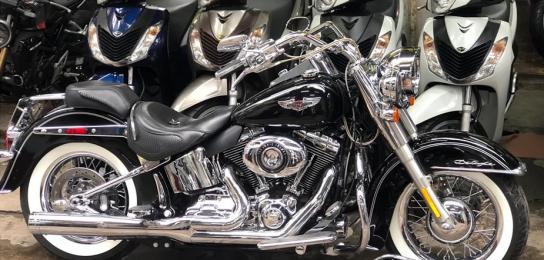 HD Softail Deluxe  29A1-019.22