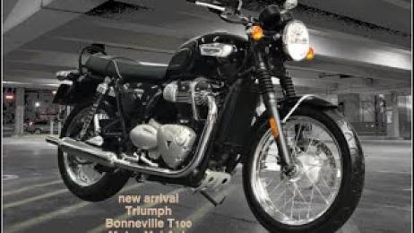 Triumph T100 Black  29A1-035.88