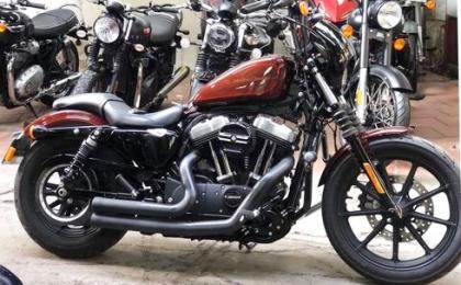 Harley Iron 1200cc  29A1-116.26